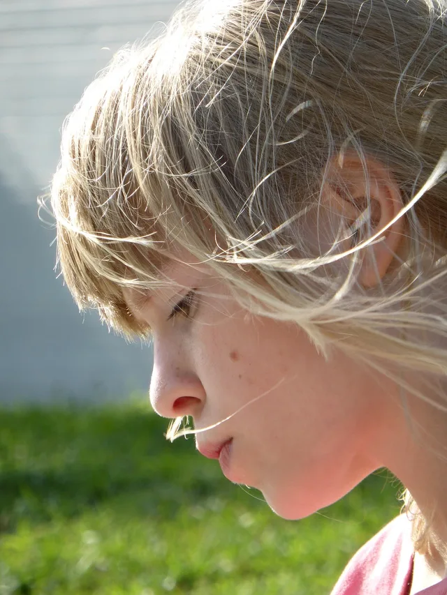 ragazza, bambino, biondo, il vento, gone with the wind, all'aperto, profilo laterale, pelle. Certificazione delle competenze: come funziona in Italia